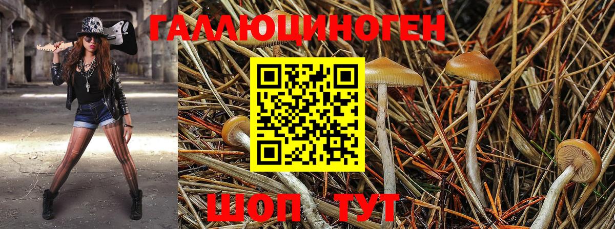Городец  Псилоцибиновые грибы GOLDEN TEACHER  Вход с VPN  Галлюциногенные грибы прущие грибы 